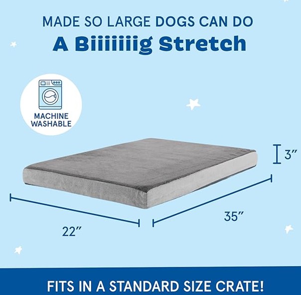 Barkbox Memory Foam Dog Bed