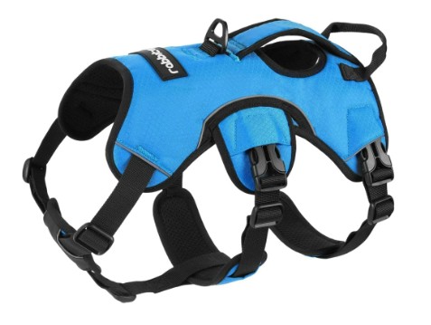 Rabbitgoo No-Pull Harness