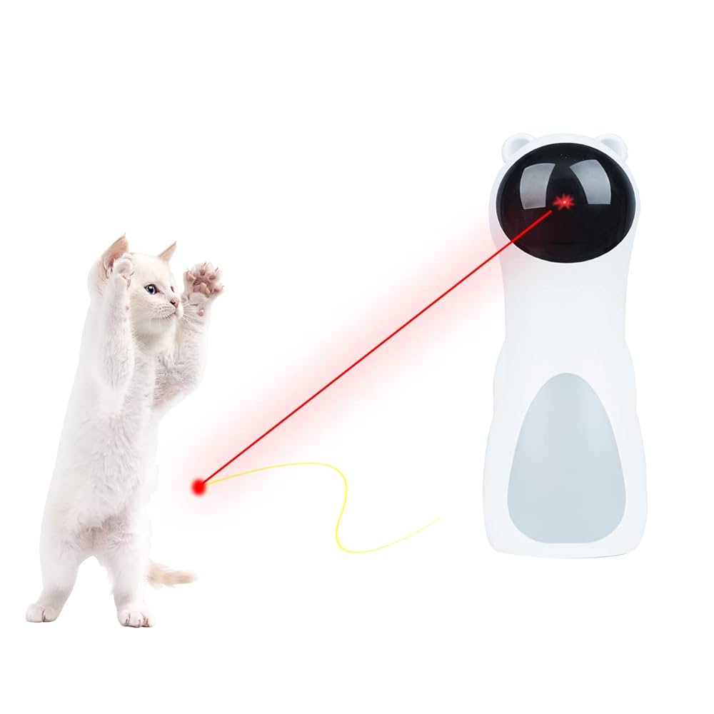 Interactive Automatic Laser Pointer